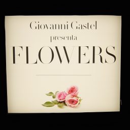 Giovanni Gastel – FLOWERS
